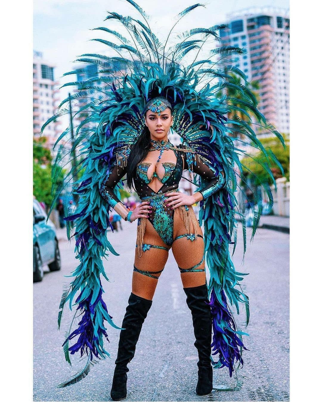 The World Without Carnival